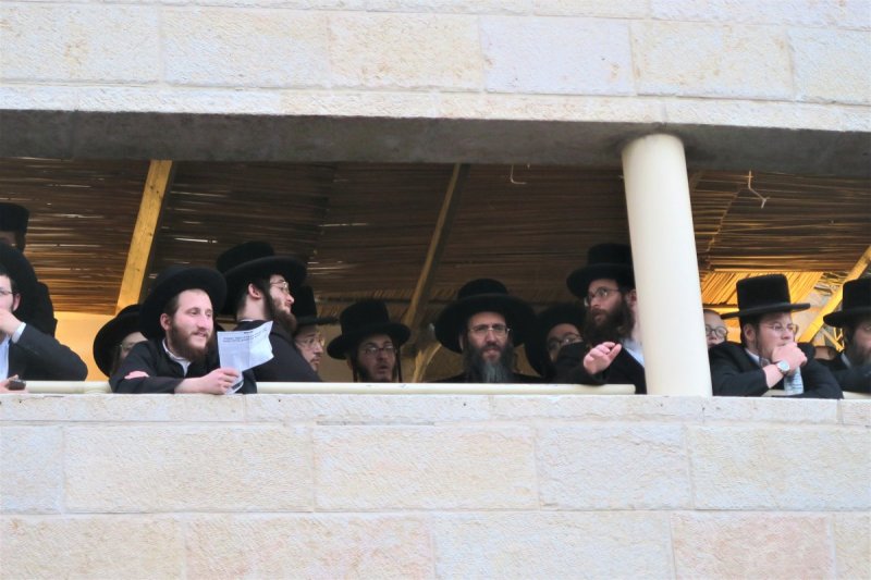 מ. אדלר