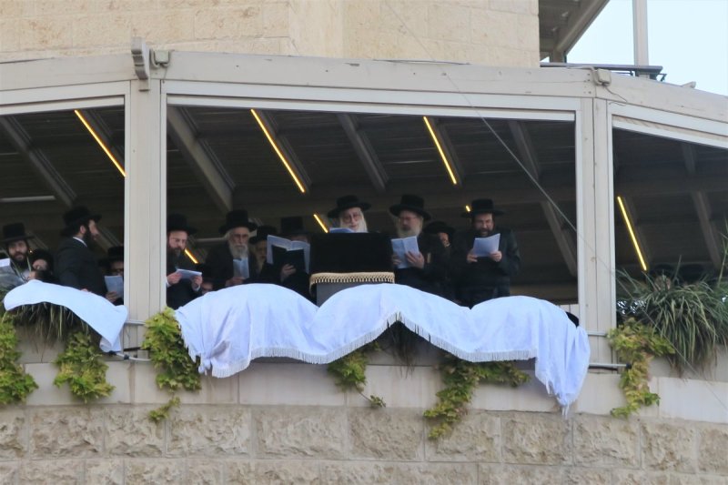 מ. אדלר