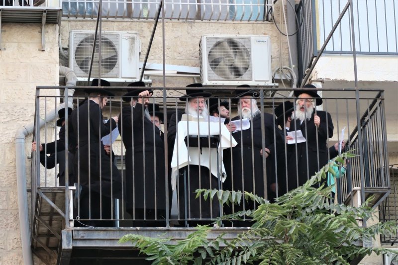 מ. אדלר