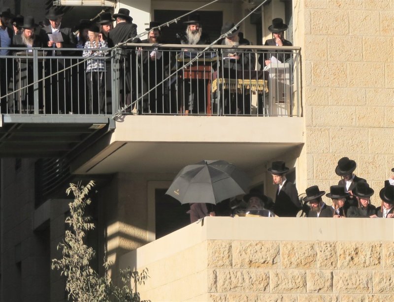 מ. אדלר