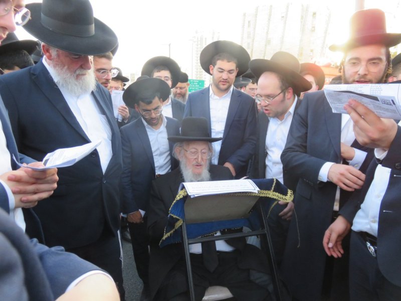 מ. אדלר