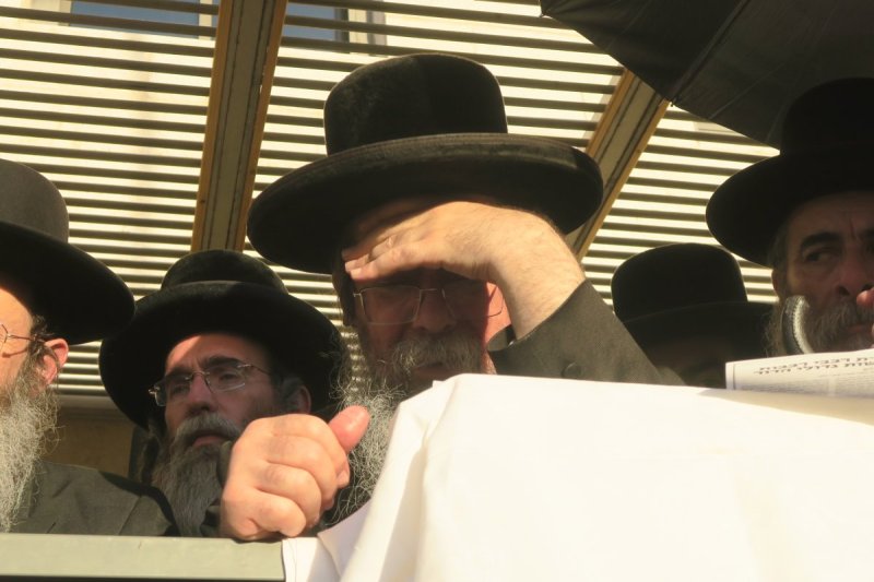 מ. אדלר