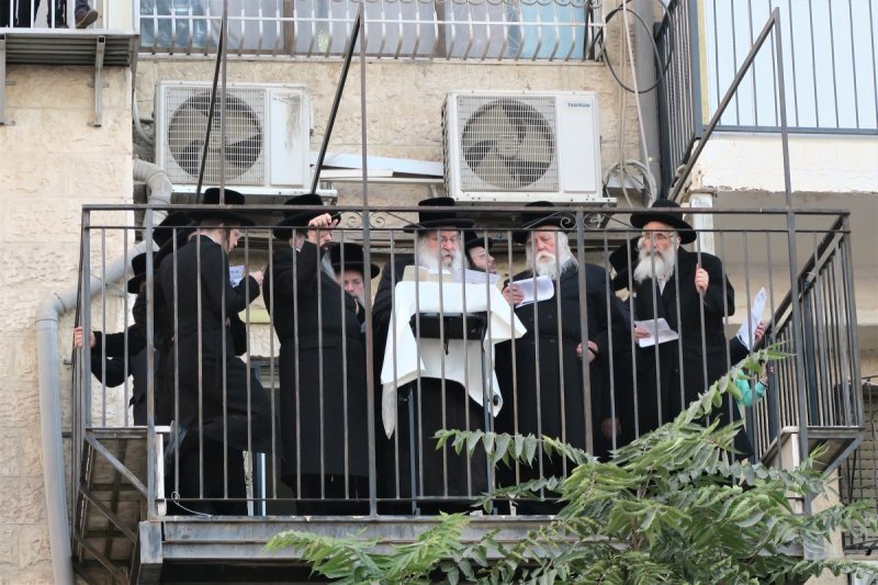 מ. אדלר