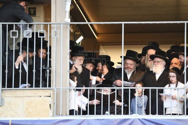 אנשיל בעק