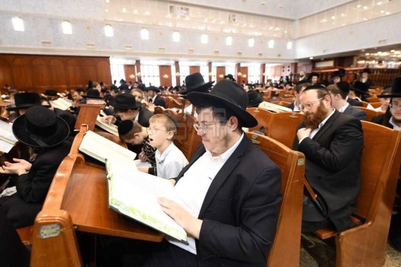 אנשיל בעק