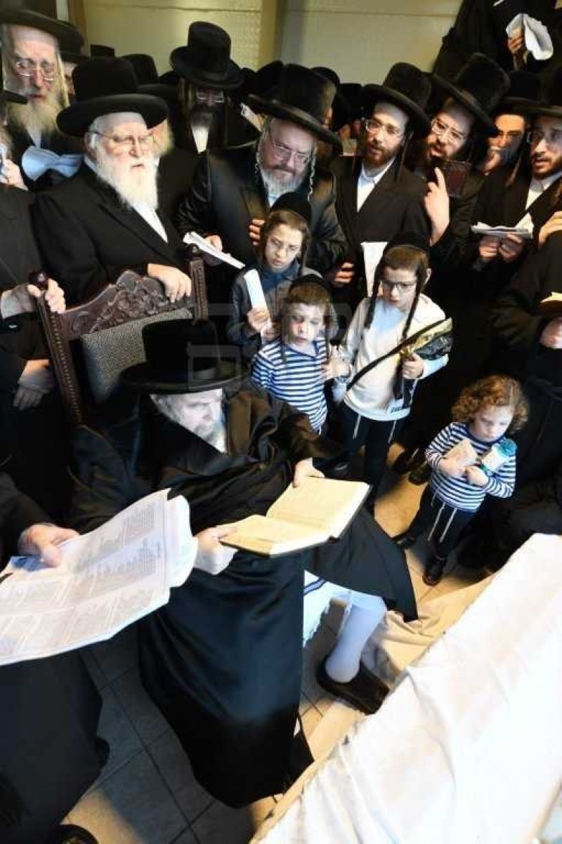 אנשיל בעק