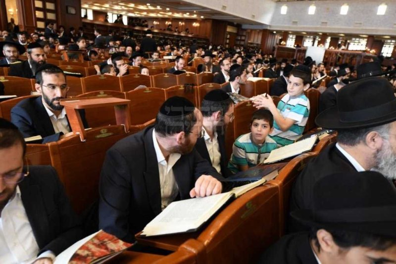 אנשיל בעק