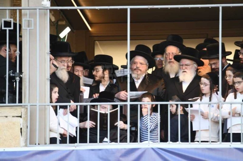 אנשיל בעק
