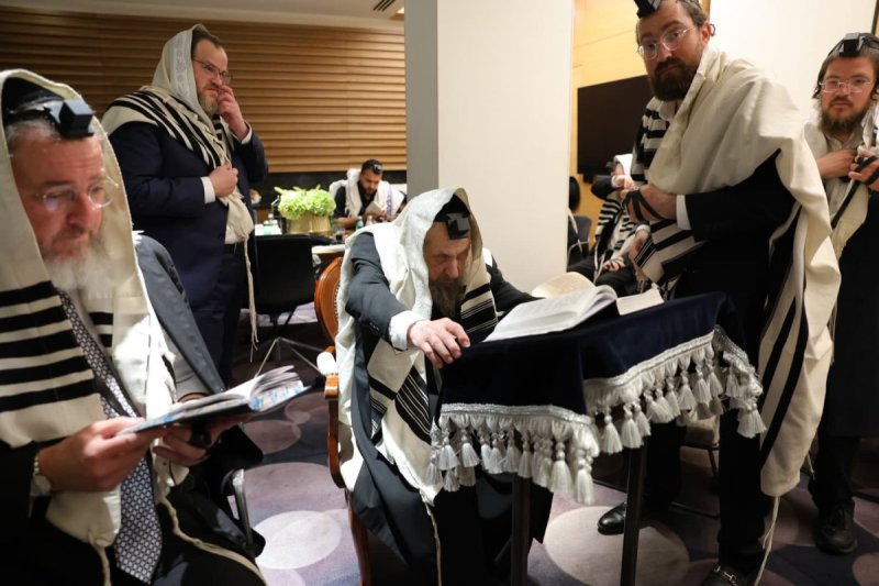 מוטי גרין