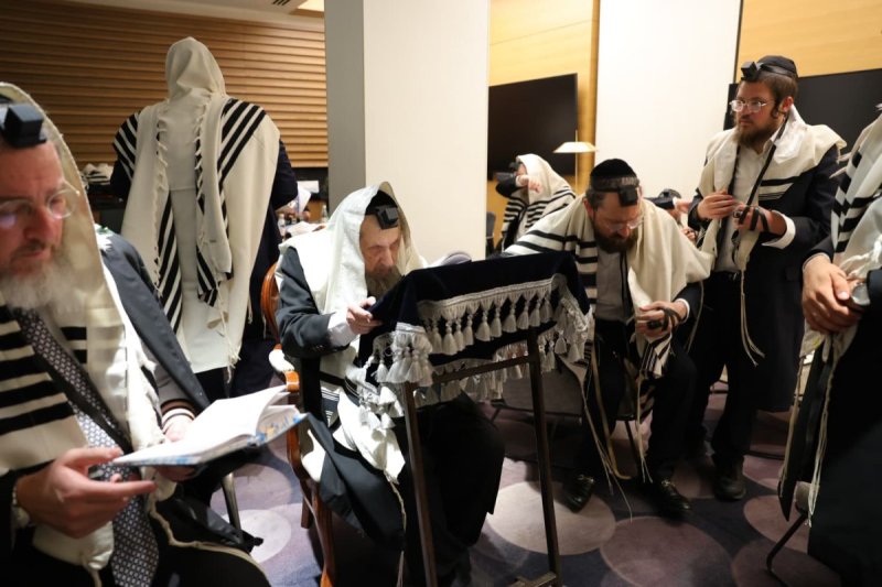 מוטי גרין
