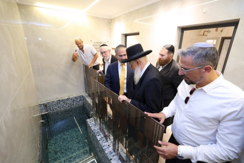 יעקב כהן