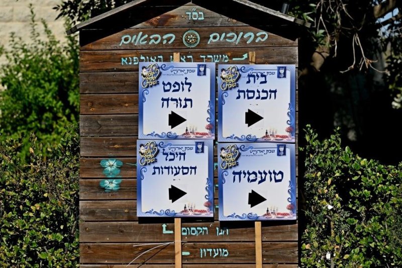 יהושע פרוכטר