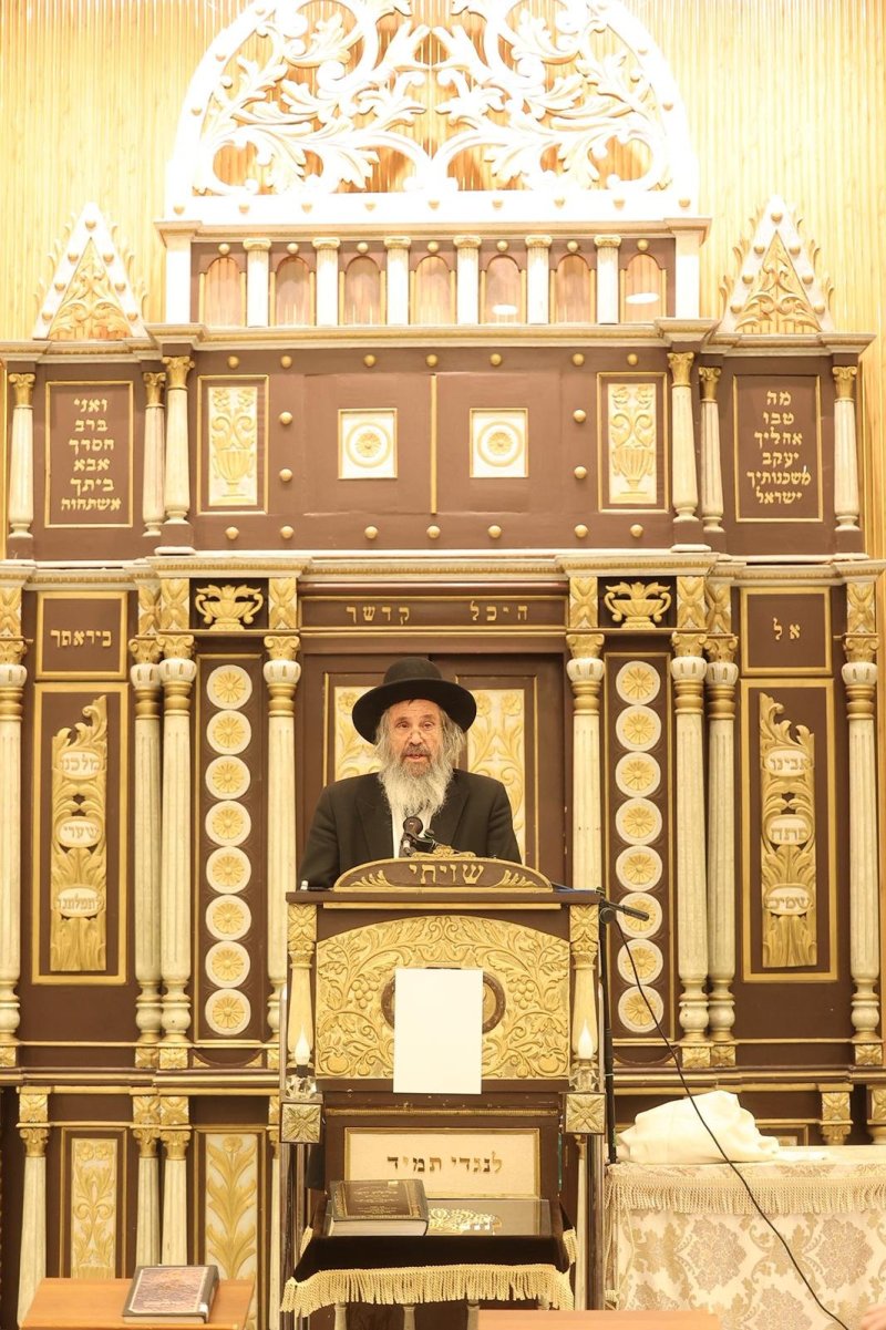  שלומי כהן