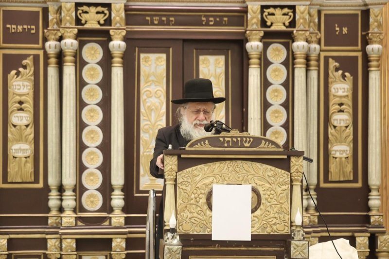  שלומי כהן