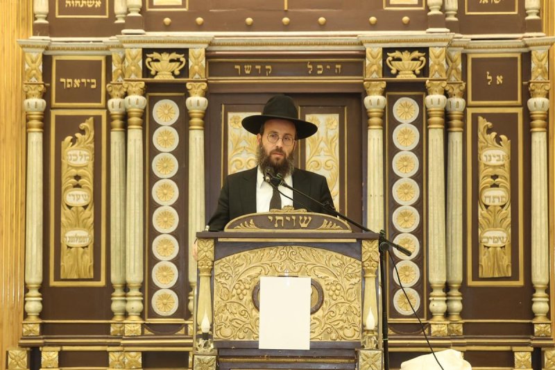  שלומי כהן