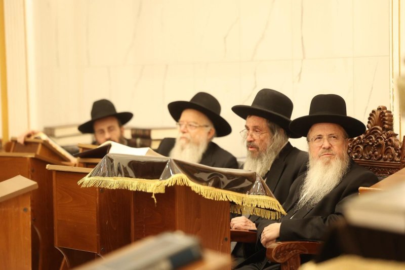  שלומי כהן