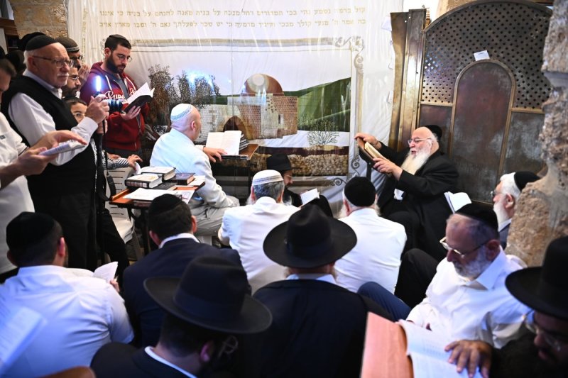 שוקי לרר