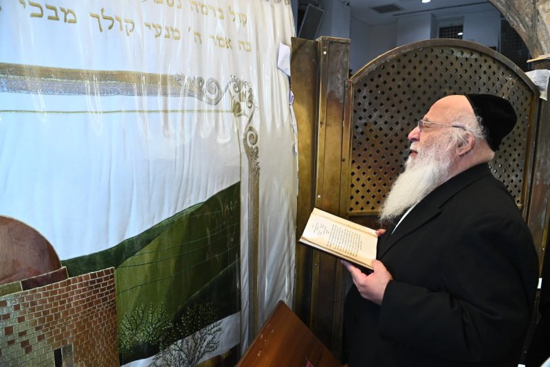 שוקי לרר