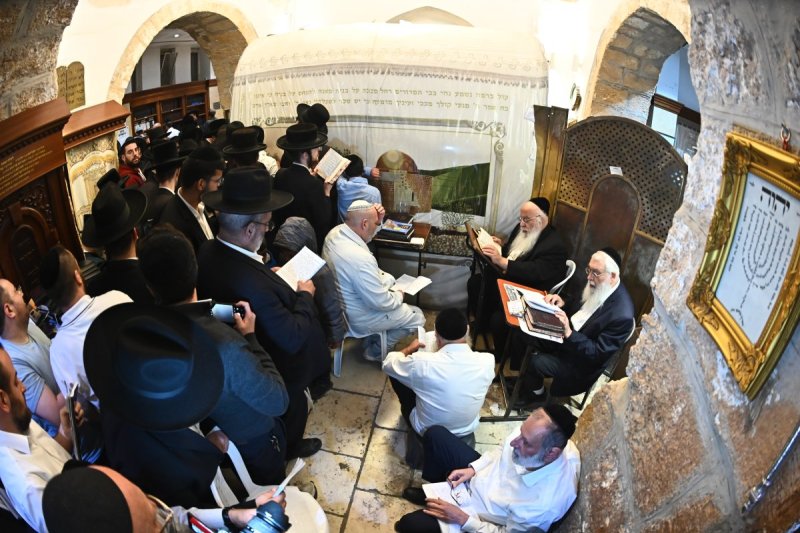שוקי לרר