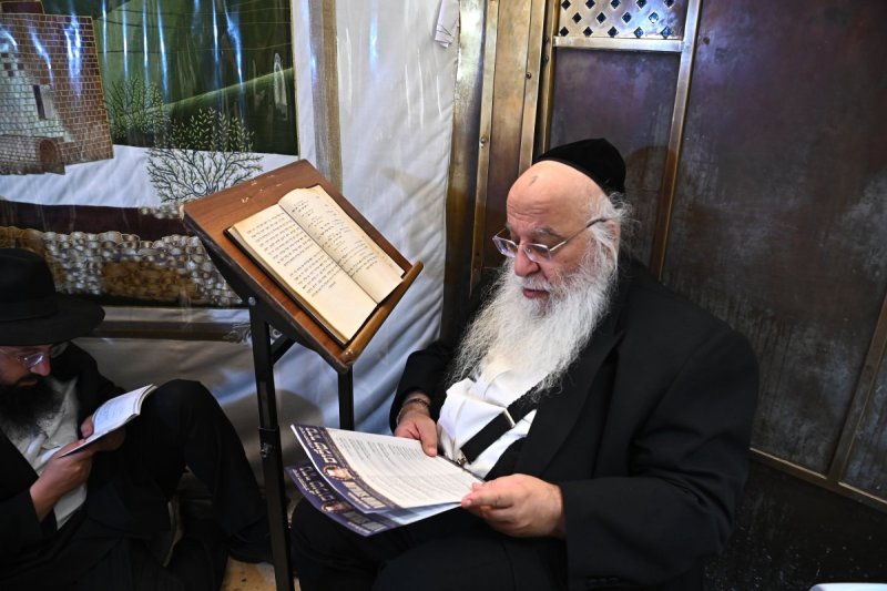 שוקי לרר