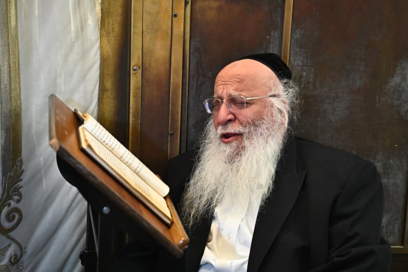 שוקי לרר