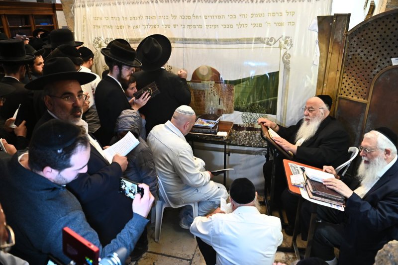 שוקי לרר