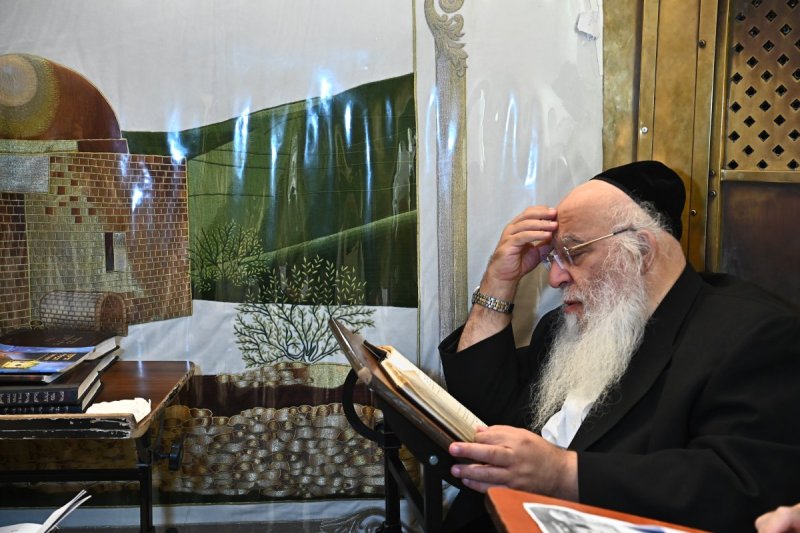 שוקי לרר