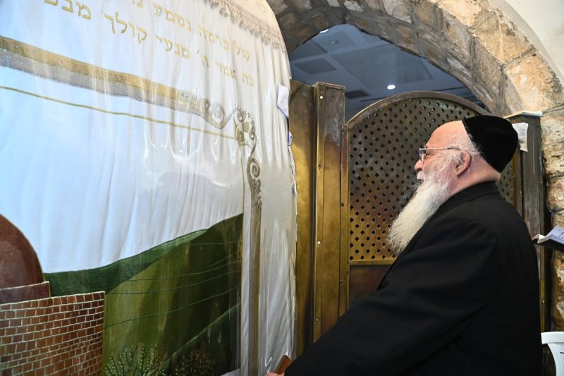 שוקי לרר