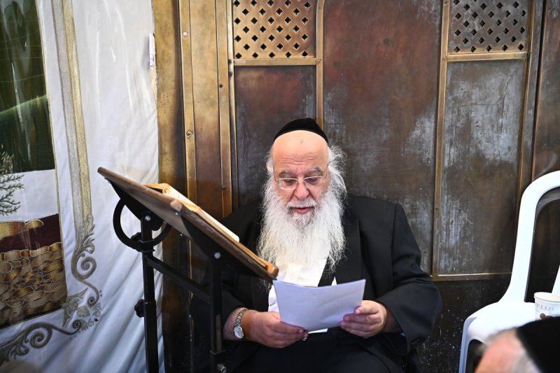 שוקי לרר