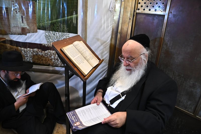שוקי לרר