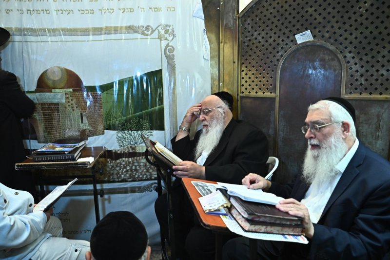 שוקי לרר