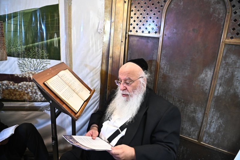 שוקי לרר