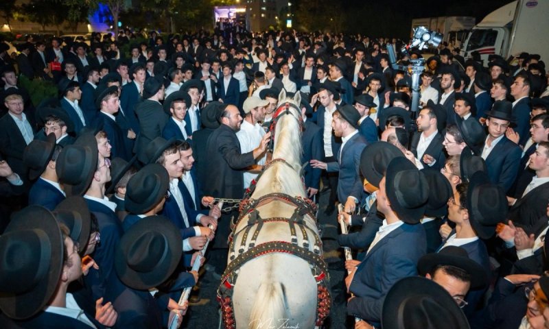 עם סוס וכרכרה: כך קיבלו ב'עטרת שלמה' את אסיר עולם התורה | תיעוד