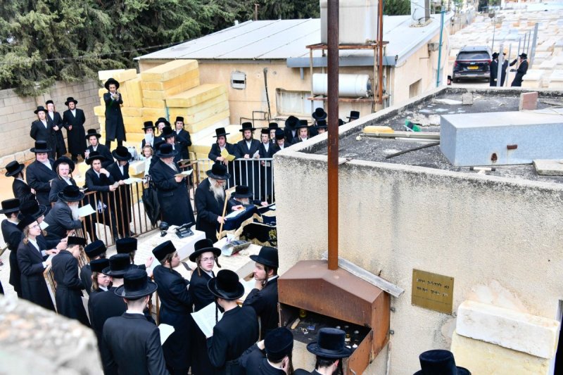 שוקי לרר