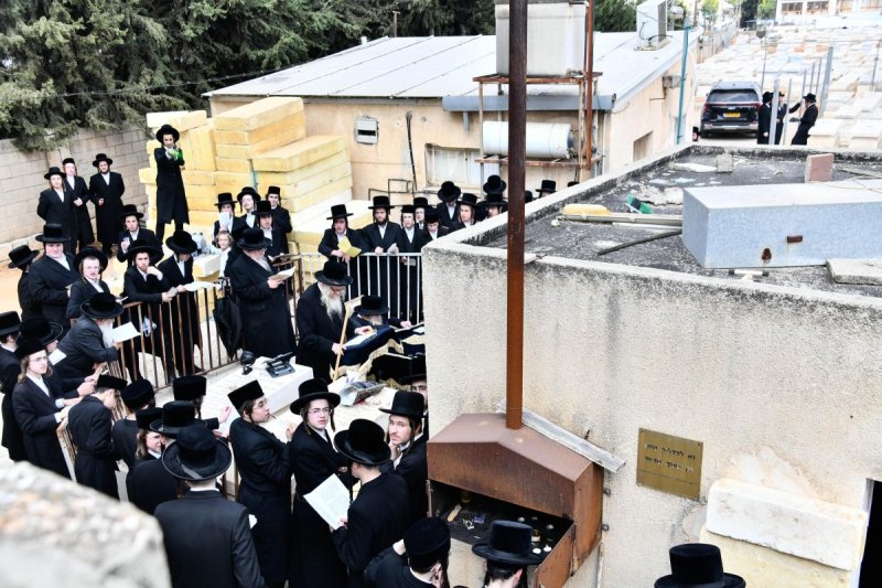 שוקי לרר