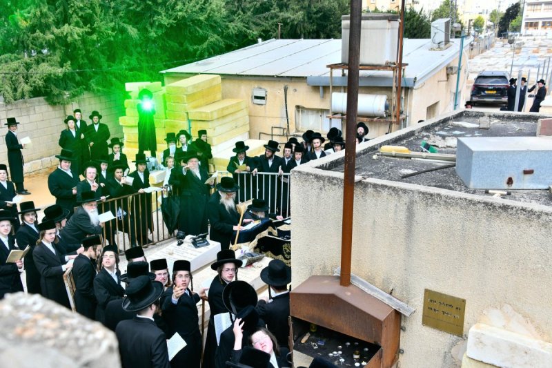 שוקי לרר