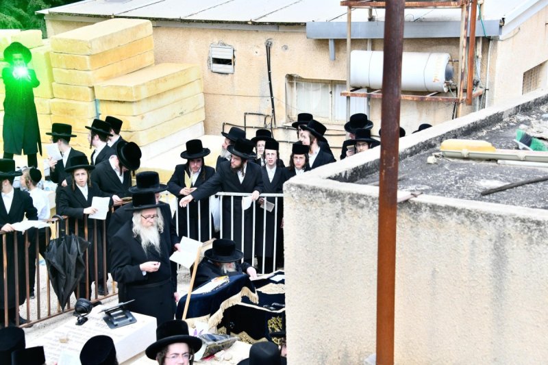 שוקי לרר