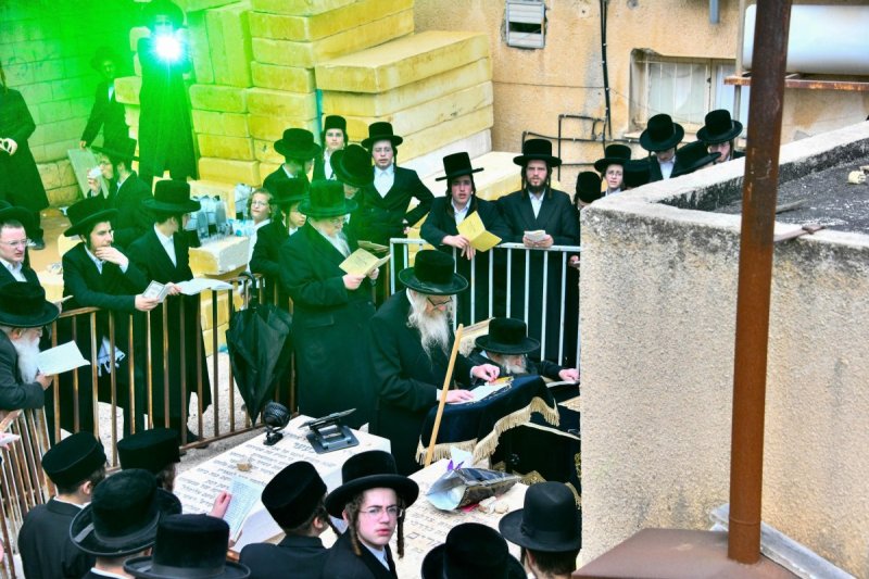 שוקי לרר