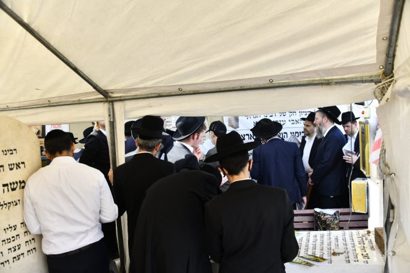 שוקי לרר