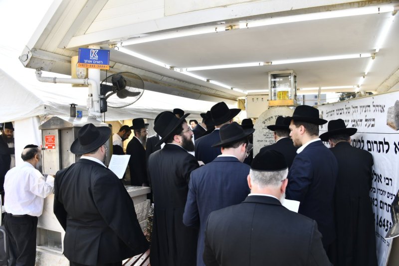 שוקי לרר