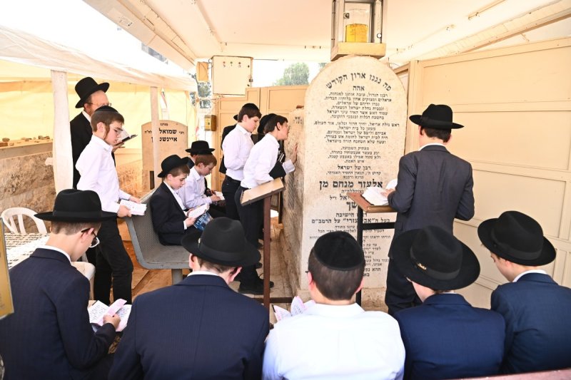 שוקי לרר