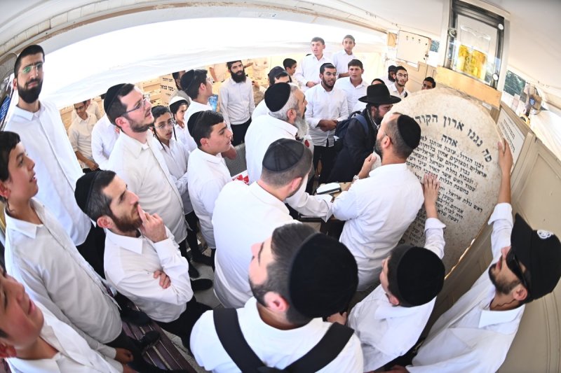 שוקי לרר