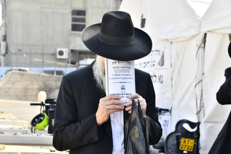 שוקי לרר