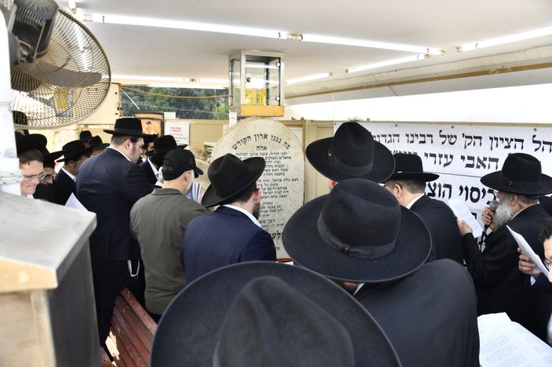 שוקי לרר