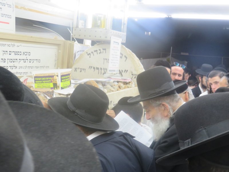 שוקי לרר