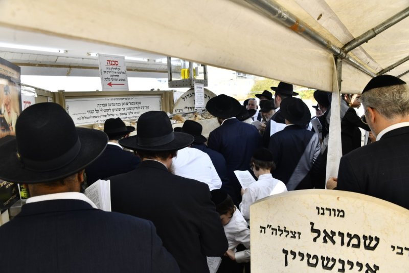 שוקי לרר