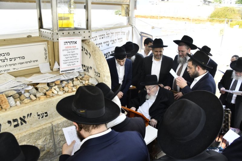 שוקי לרר