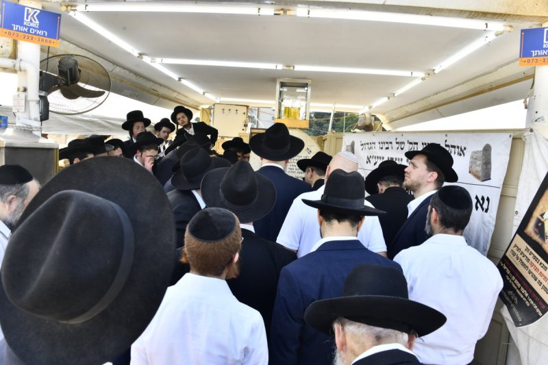 שוקי לרר