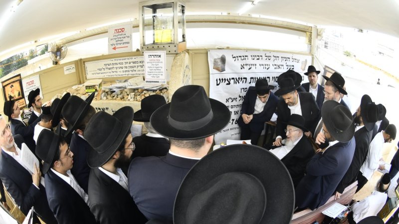 שוקי לרר