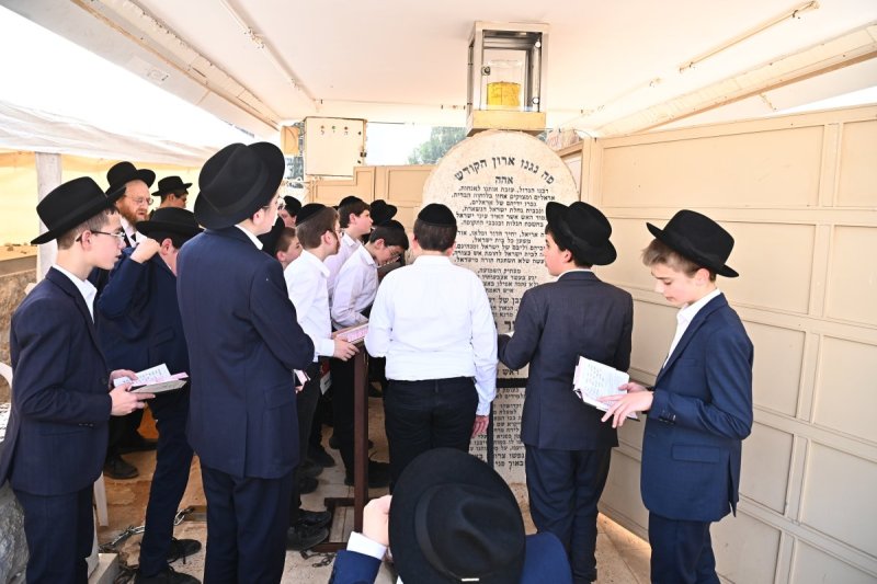 שוקי לרר